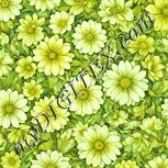 Colour:K