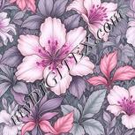 Colour:B