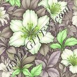 Colour:D