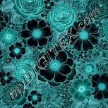 Colour:F