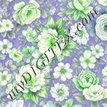 Colour:D