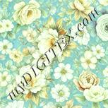 Colour:K