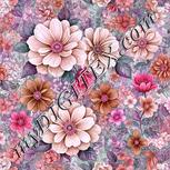 Colour:B