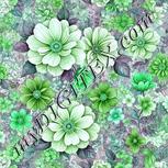 Colour:C