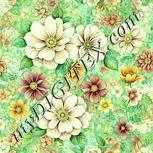 Colour:K