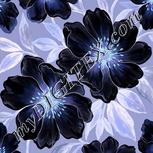 Colour:F