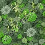 Colour:D