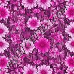 Colour:B