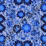 Colour:F