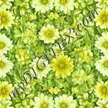 Colour:K