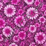 Colour:B