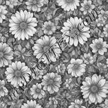 Colour:E