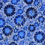 Colour:F