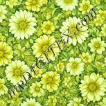 Colour:K