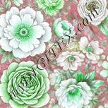 Colour:C