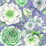 Colour:D