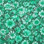Colour:C