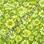 Colour:K