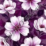 Colour:B