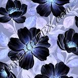 Colour:F