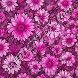 Colour:B