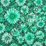 Colour:C