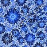 Colour:F