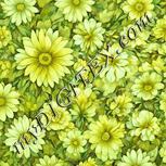 Colour:K