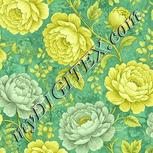 Colour:K