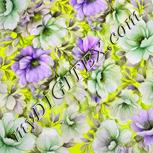 Colour:D
