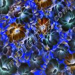 Colour:F