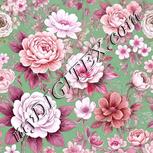 Colour:B