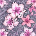 Colour:B