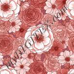 Colour:B