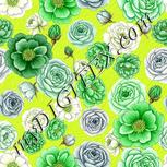 Colour:D