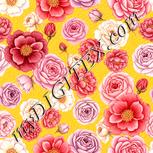Colour:J
