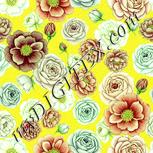Colour:K