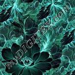 Colour:F