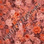 Colour:J