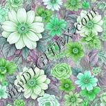 Colour:C