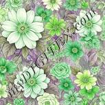 Colour:D