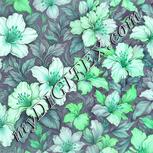 Colour:C