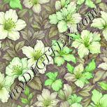Colour:D