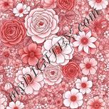 Colour:B