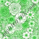 Colour:D