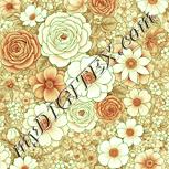 Colour:K