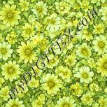Colour:K