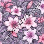 Colour:B