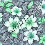 Colour:C