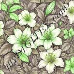 Colour:D